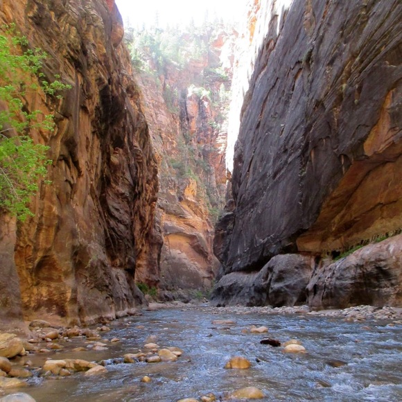 Meet your Posher, Mona - Picture 5 of 14